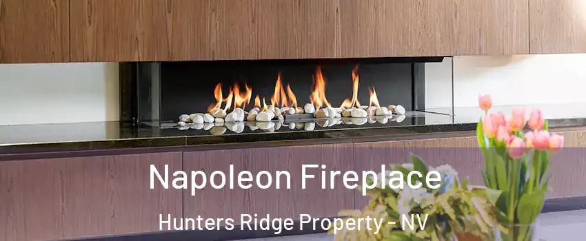 Napoleon Fireplace Hunters Ridge Property - NV