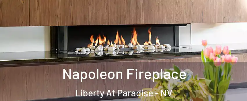 Napoleon Fireplace Liberty At Paradise - NV