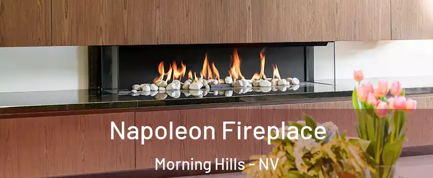 Napoleon Fireplace Morning Hills - NV
