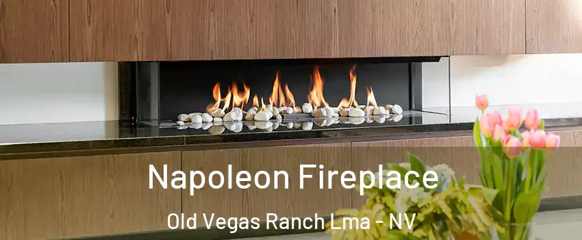 Napoleon Fireplace Old Vegas Ranch Lma - NV