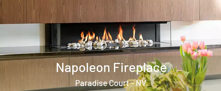 Napoleon Fireplace Paradise Court - NV