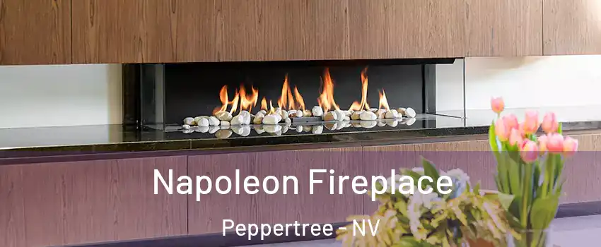 Napoleon Fireplace Peppertree - NV