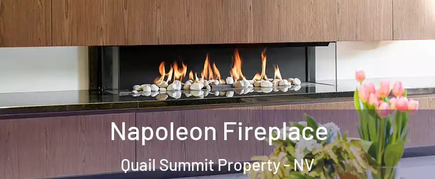Napoleon Fireplace Quail Summit Property - NV