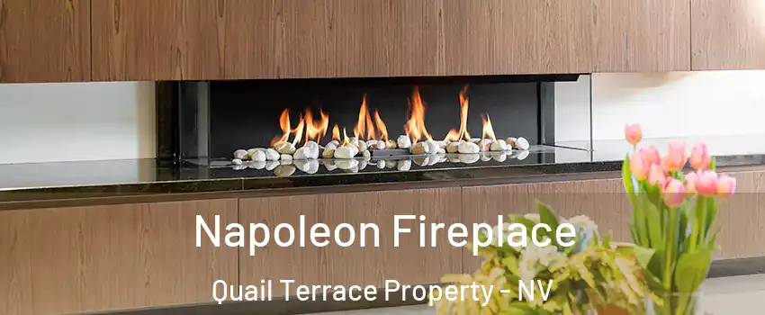 Napoleon Fireplace Quail Terrace Property - NV