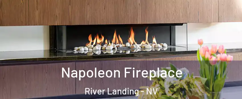 Napoleon Fireplace River Landing - NV