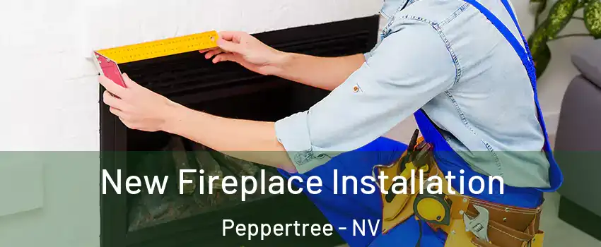 New Fireplace Installation Peppertree - NV