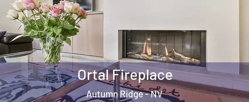 Ortal Fireplace Autumn Ridge - NV