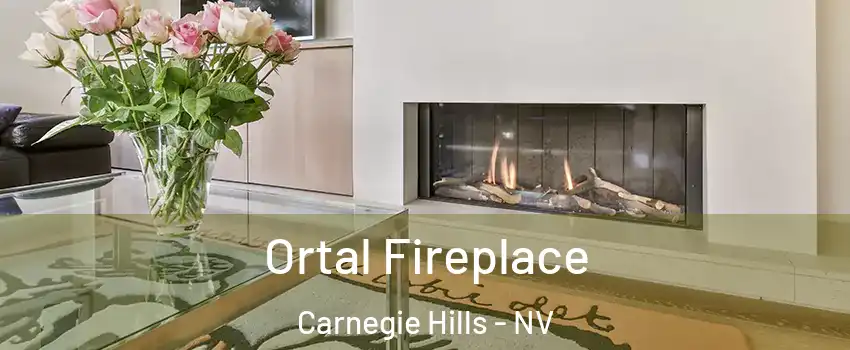 Ortal Fireplace Carnegie Hills - NV