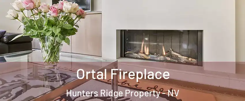 Ortal Fireplace Hunters Ridge Property - NV
