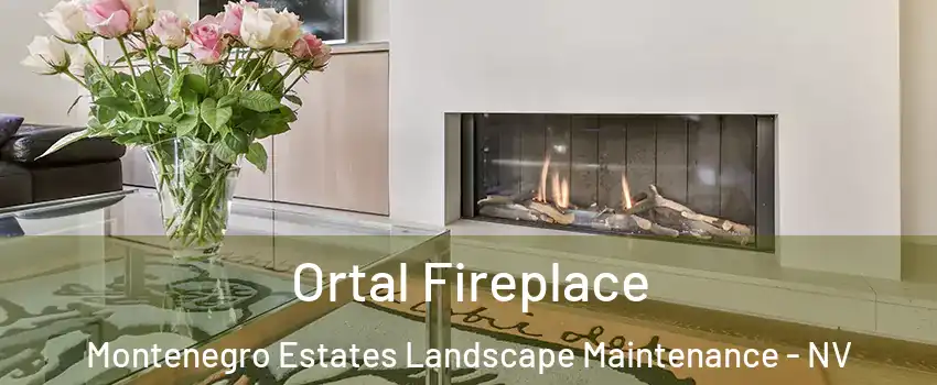 Ortal Fireplace Montenegro Estates Landscape Maintenance - NV