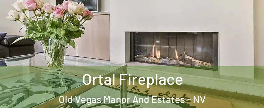 Ortal Fireplace Old Vegas Manor And Estates - NV