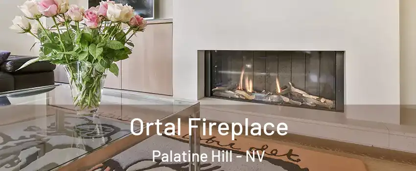 Ortal Fireplace Palatine Hill - NV