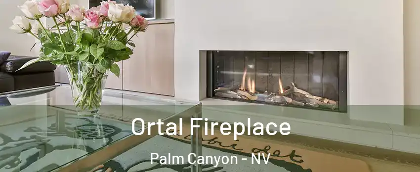 Ortal Fireplace Palm Canyon - NV