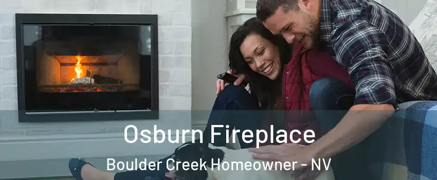 Osburn Fireplace Boulder Creek Homeowner - NV
