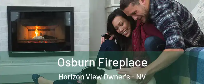 Osburn Fireplace Horizon View Owner's - NV
