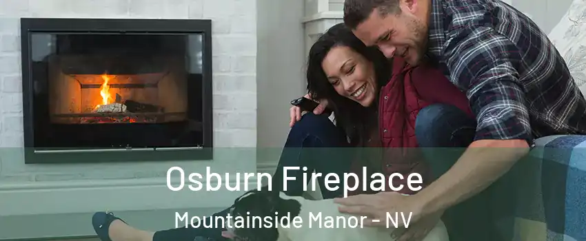 Osburn Fireplace Mountainside Manor - NV