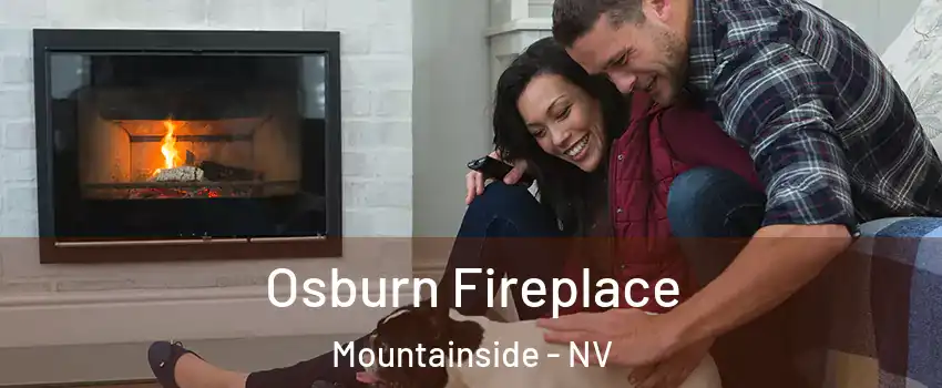 Osburn Fireplace Mountainside - NV