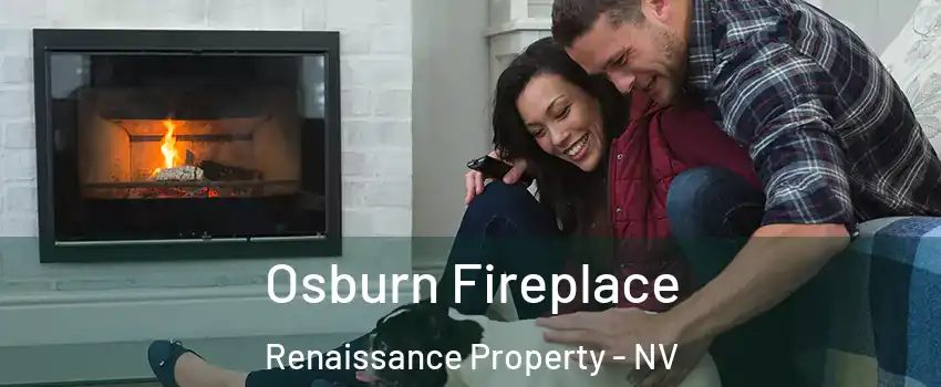 Osburn Fireplace Renaissance Property - NV