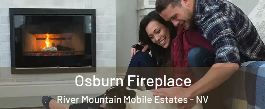 Osburn Fireplace River Mountain Mobile Estates - NV