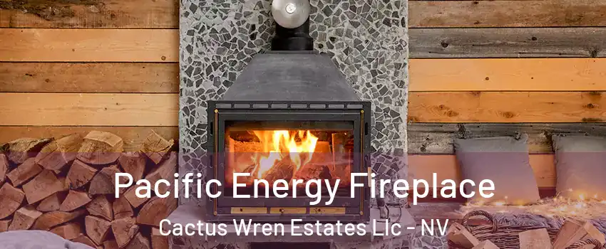 Pacific Energy Fireplace Cactus Wren Estates Llc - NV