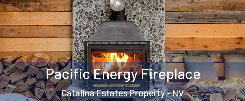 Pacific Energy Fireplace Catalina Estates Property - NV