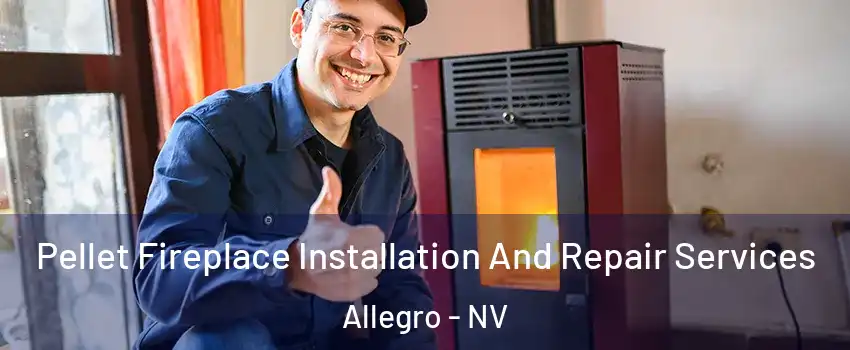 Pellet Fireplace Installation And Repair Services Allegro - NV