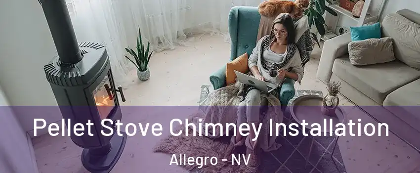 Pellet Stove Chimney Installation Allegro - NV