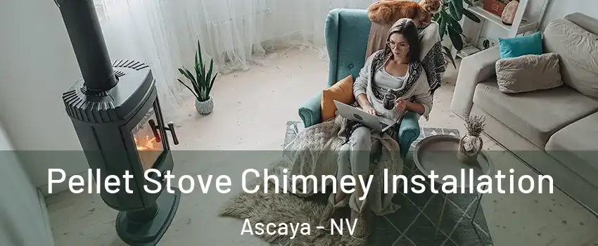 Pellet Stove Chimney Installation Ascaya - NV