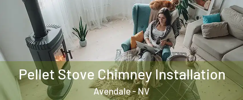 Pellet Stove Chimney Installation Avendale - NV