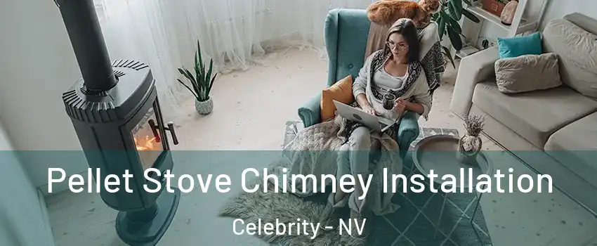 Pellet Stove Chimney Installation Celebrity - NV