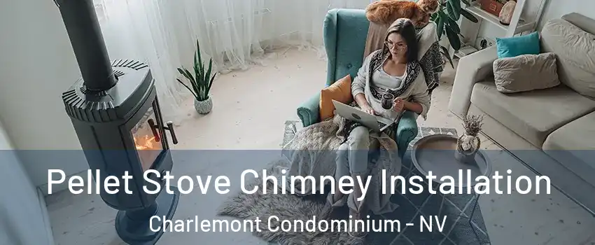 Pellet Stove Chimney Installation Charlemont Condominium - NV