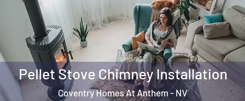 Pellet Stove Chimney Installation Coventry Homes At Anthem - NV