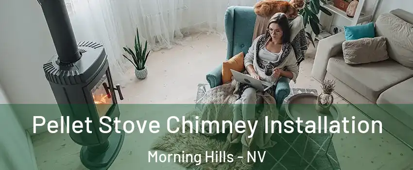 Pellet Stove Chimney Installation Morning Hills - NV