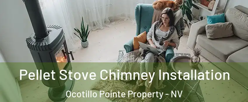 Pellet Stove Chimney Installation Ocotillo Pointe Property - NV