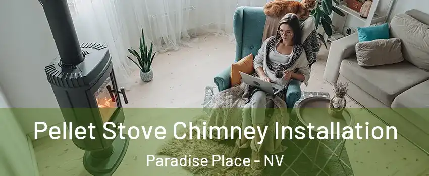 Pellet Stove Chimney Installation Paradise Place - NV