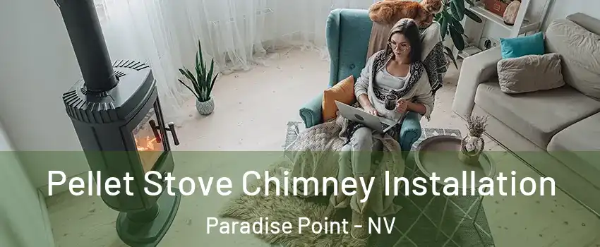 Pellet Stove Chimney Installation Paradise Point - NV