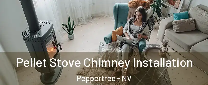 Pellet Stove Chimney Installation Peppertree - NV