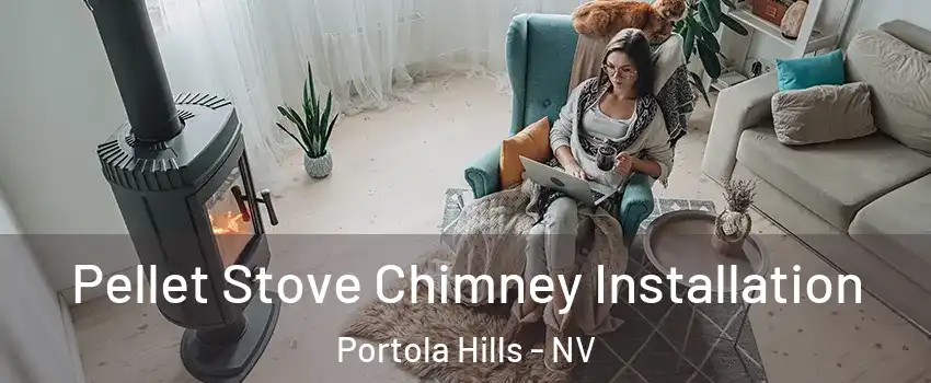Pellet Stove Chimney Installation Portola Hills - NV