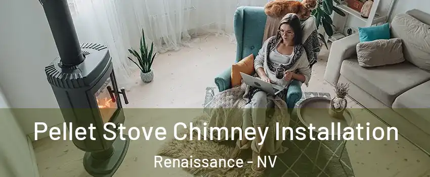 Pellet Stove Chimney Installation Renaissance - NV