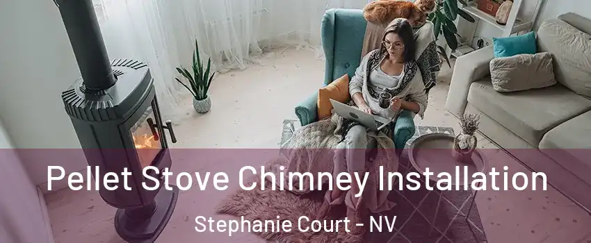 Pellet Stove Chimney Installation Stephanie Court - NV