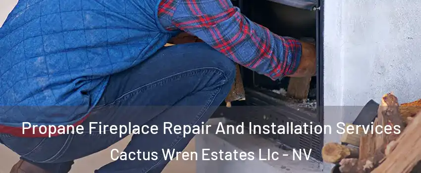 Propane Fireplace Repair And Installation Services Cactus Wren Estates Llc - NV