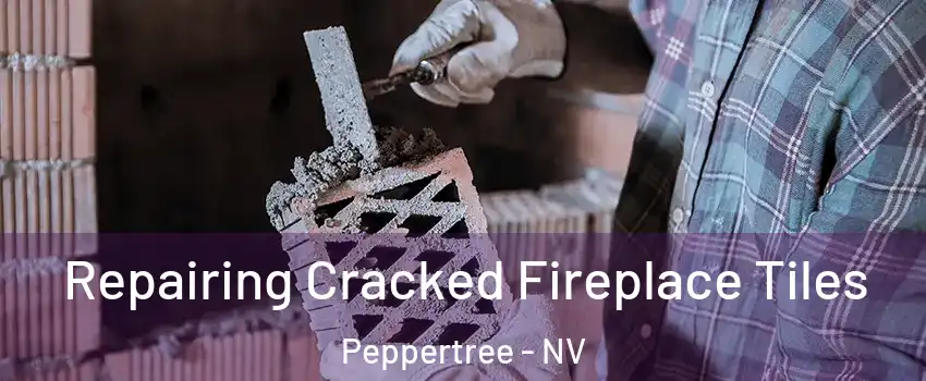 Repairing Cracked Fireplace Tiles Peppertree - NV