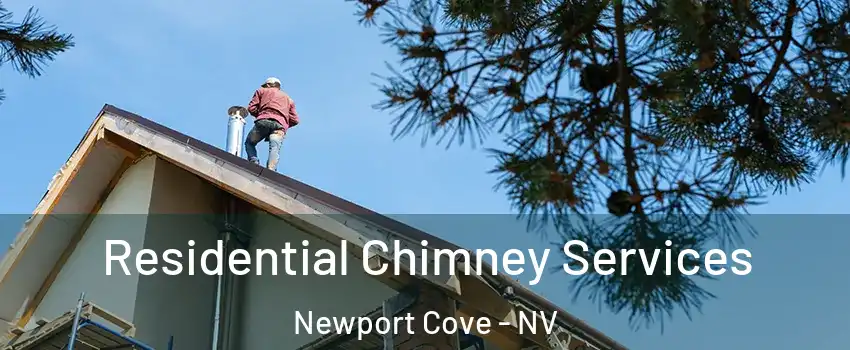 Residential Chimney Services Newport Cove - NV