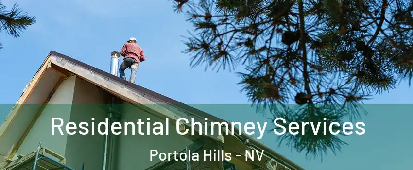 Residential Chimney Services Portola Hills - NV