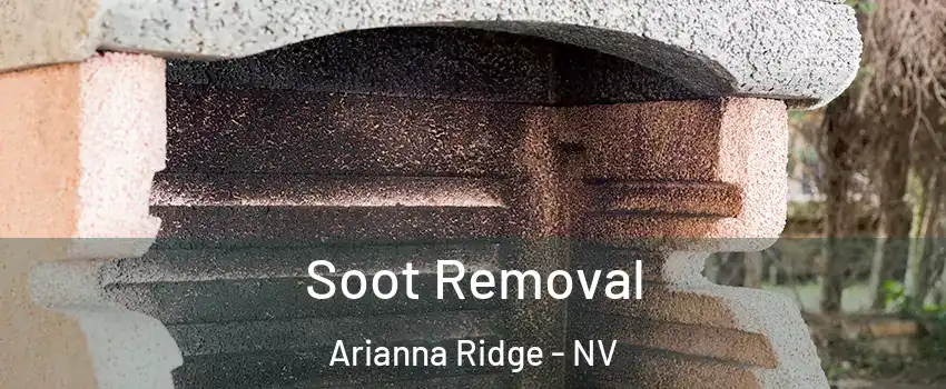 Soot Removal Arianna Ridge - NV