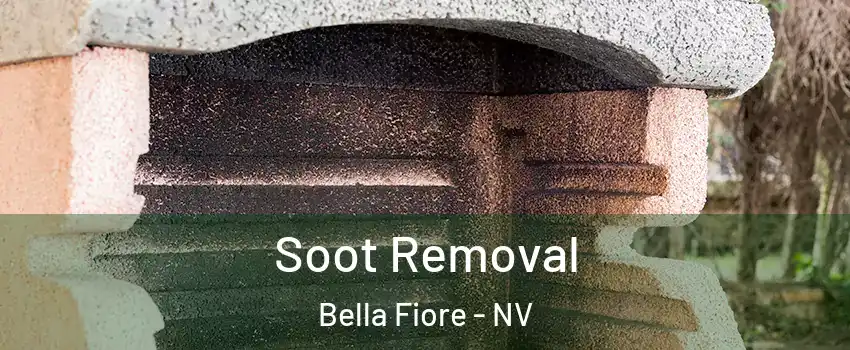 Soot Removal Bella Fiore - NV