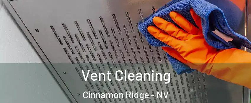 Vent Cleaning Cinnamon Ridge - NV