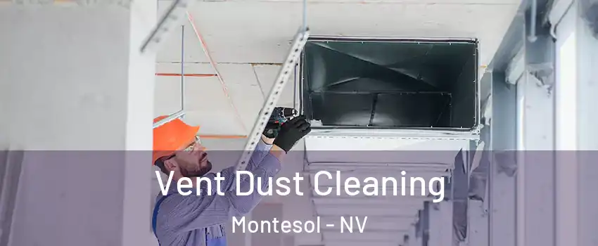 Vent Dust Cleaning Montesol - NV