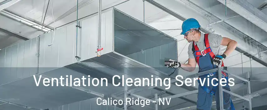 Ventilation Cleaning Services Calico Ridge - NV