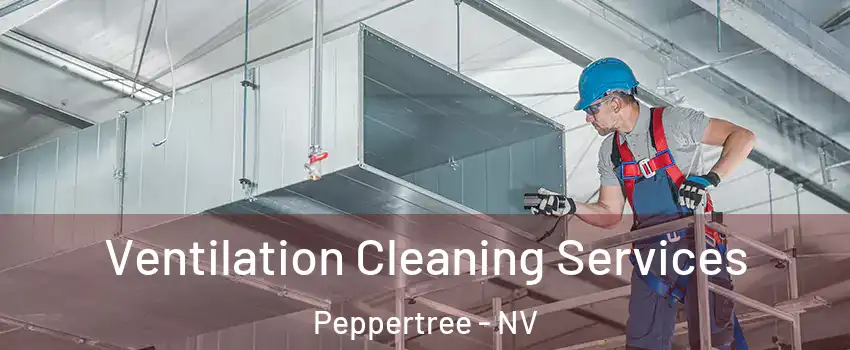 Ventilation Cleaning Services Peppertree - NV